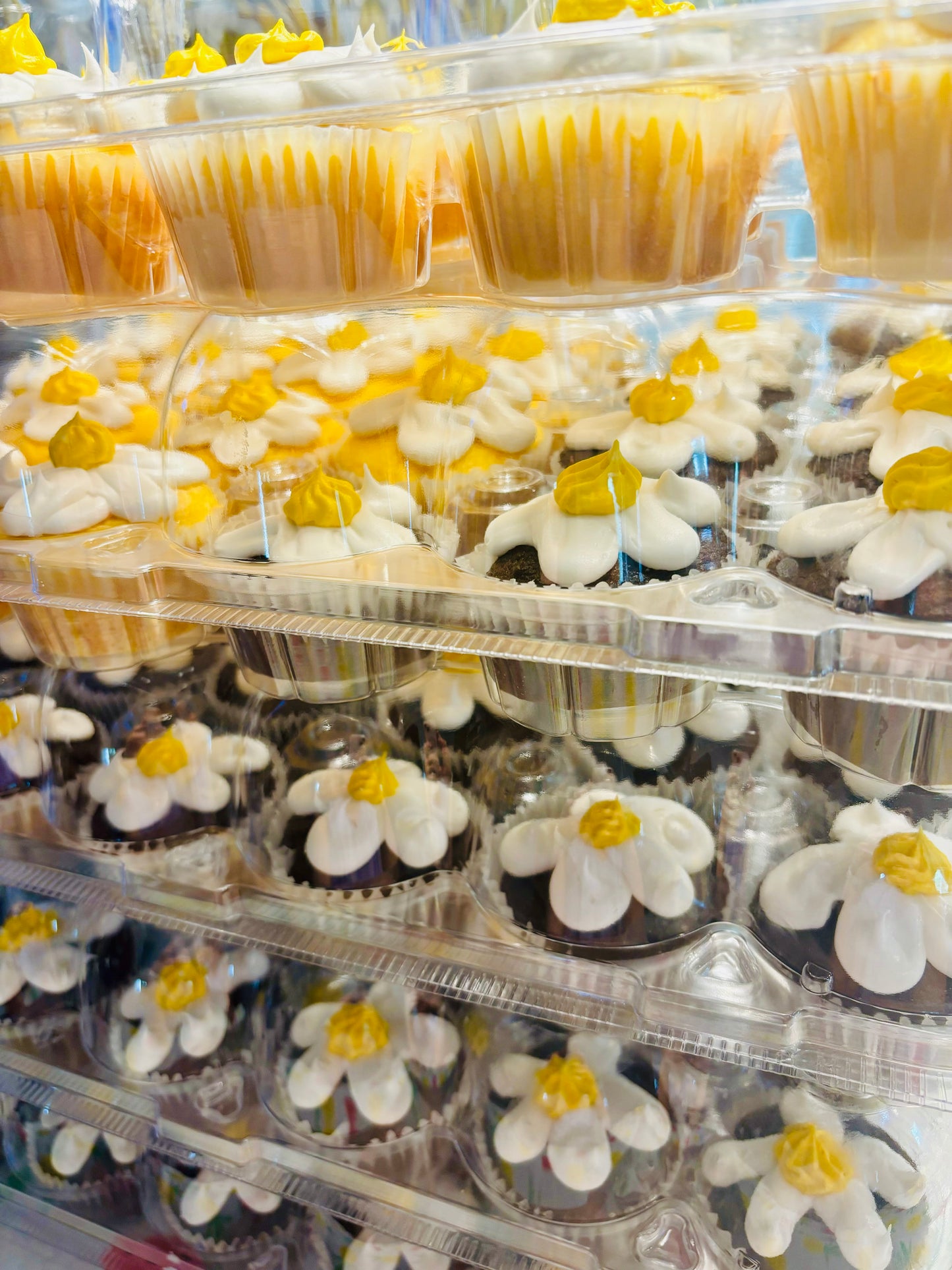 Large Event pricing wedding/graduation/catering/events